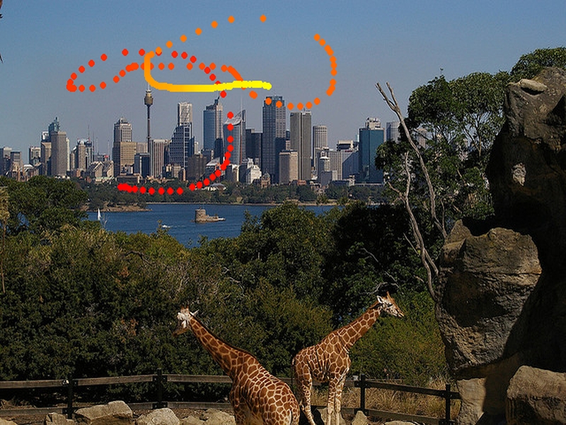 Trace Captioning example on skyscrapers that are on the background of an image depicting giraffes