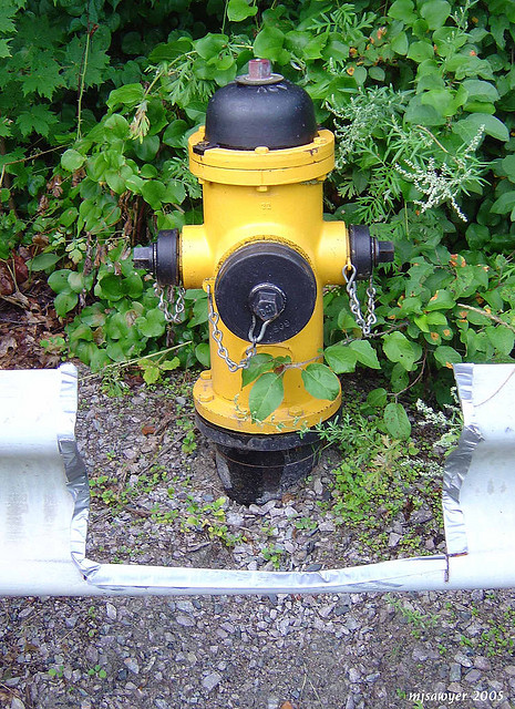 52005